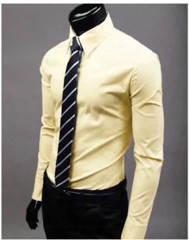 Men's Slim Fit Cotton Down Shirt Summer Business Formal Shirt