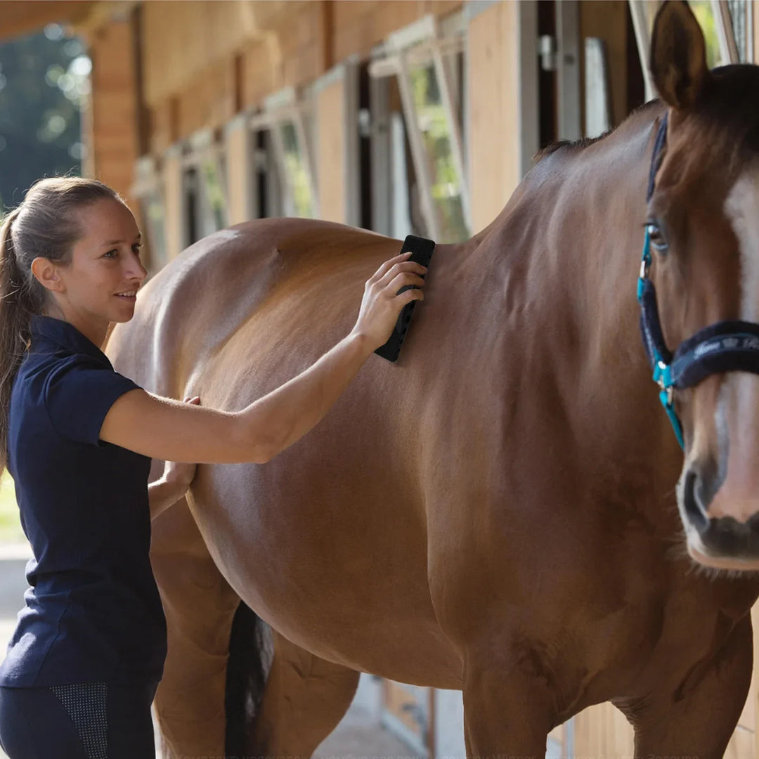 HorseCare Pro™️ | Care brush and massage for horse